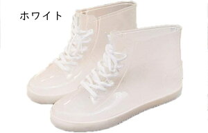 Cq[ Cu[c CV[Y fB[X tbgV[Y 傫TCY TCY J _炩 C JC h  y y Ou[c   ubN O[ h