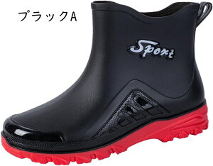 h h Cu[c Y Jp CV[Y h JC ~ V[gu[c ʋ _ | o[u[c Jꌓp JC ₷ AEghA  J̓ J ~J