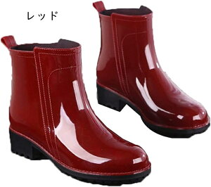 CV[Y fB[X Cu[c  JC h y V[g u[c TChSA J ~ ~J΍  킢    傫TCY Jp ʋΒʊw AEghA