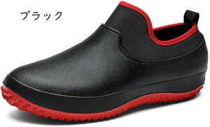 CV[Y Y  Xj[J[ V[g Cu[c y Sh h JC Xb| JWA V[g Cu[c rWlX 䕗΍ ʋ ʊw ip h J 