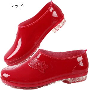 CV[Y CpvX C Xj[J[ fB[X pvX [t@[ u[c Cu[c Xb| o[ C ~[ h JC C ʊw ʋ h ؂ tbg [