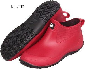 CV[Y hh jʗp Cu[c Y fB[X Sh JC V[gu[c ʋ ʍ _ | o[u[c J JC ₷ ₷ ₷ AE