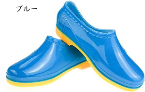CV[Y JC V[g  fB[X Cu[c C J IV ʊw JWA y ʋ Vv q[ Xj[J[ Cu[c u[eB[ Xb| Jp pvX 