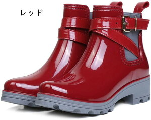 TChSA CV[Y o[u[c { fB[X y [q[ q[ Cu[c 킢 JC  Xm[u[c h JC ~J΍   E₷ 