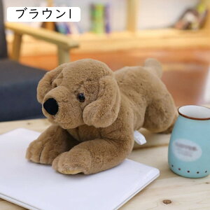 ʂ  킢 NbV ӂӂL  A {悤 40cm av[g q xbh G ԂMtg ii YQ ޏ Mtg 蕨 ̎q  u