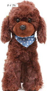 v[h ʂ ^Cv   gCv[h  A  ʂ X[p[ʂ ۂ CkNbV _炩 23cm YQ @\ ֎q \t@[w