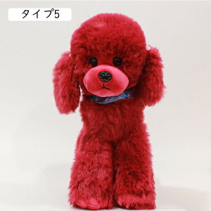 v[h ʂ ^Cv   gCv[h  A  ʂ X[p[ʂ ۂ CkNbV _炩 23cm YQ @\ ֎q \t@[w