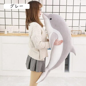 CJ ʂ  CJ 1m 傫CJ  O[ CJD v[g ӂӂʂ CJʂ ܂ ʂ CJ   D 