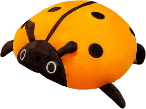 ˂ʂ  ӂӂ  ^r[L 炩 L CG[ ʂ  YQ @\ n  j 40cm j wj Əj NX}X 蕨