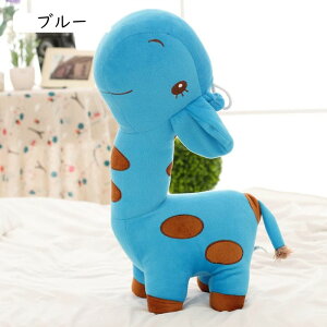 ʂ L   Be _炩G CG[ 60cm   킢 CeA 킢ƒ둕 X  ʂ 傫TCY Aj} wZ 