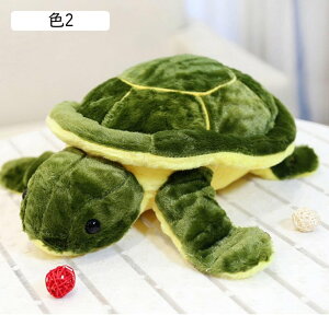  T Jʂ T   Cm J 25cm ߂ʂ 킢 F X wj a GG X[p[\tg T w  _炩 ӂ