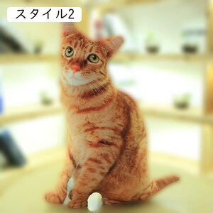 L _炩ᔽNbV Jo[􂦂 YQ  50cm  C lRʂ NbV @\ ֎q \t@[w ӂӂ LObY 