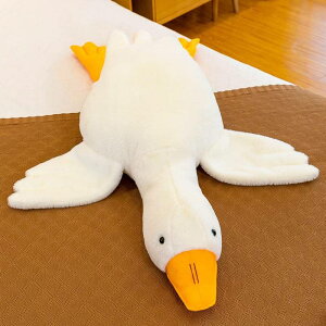 ʂ Aq  傫   킢 D ӂӂ  zCg A YQ  􂦂 炩 v ϋv  CeA ޏގ 40cm a n