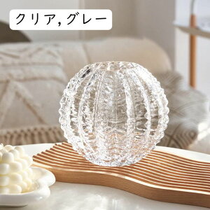 t[x[X KX 16cm Vv O[ ֑} H27.5cm 傫  AW u rO ԕr Ԋ CeA Vv NA Aȑ ͔| Ԃт KXx[