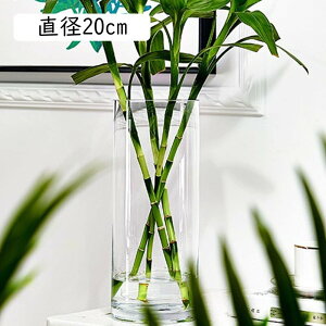 ԕr ֑}KX  L 傫 O t[x[X Ɏq V_[ zCgf[ a20cm ̓ 20cm NX}X NA Vv EHbV ȒP kG