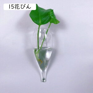 Ԃт Ɏq _ NA Ǌ|ԕr  ǂ hCt[ k͔|  CeA t[x[X KXx[X ǖ 킢 01Ԃт Ǌ| A AW ԕr 