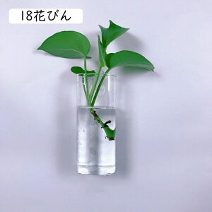 Ԃт Ɏq _ NA Ǌ|ԕr  ǂ hCt[ k͔|  CeA t[x[X KXx[X ǖ 킢 01Ԃт Ǌ| A AW ԕr 