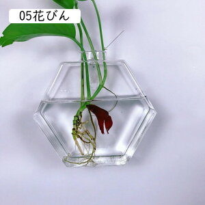 Ԃт Ɏq _ NA Ǌ|ԕr  ǂ hCt[ k͔|  CeA t[x[X KXx[X ǖ 킢 01Ԃт Ǌ| A AW ԕr 