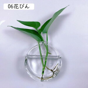 �Ԃт� �Ɏq ���_�� �N���A �Ǌ|���ԕr ������ �ǂ��� �h���C�t�����[ ���k�͔| ������� �C���e���A �t�����[�x�[�X �K���X�x�[�X �ǖ� ���킢�� 01�Ԃт� �Ǌ|�� �����A�� �A�����W �ԕr ��