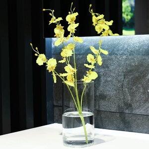 KX ԕr 傫 8cm  O t[x[X Ɏq Ԋ kG т a11cm u₩ GKg vase ֑} bNX ԓ Vv NA ͔| 