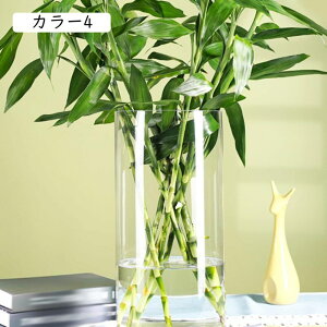 ԕr KX t[x[X  k J[ 傫  20cm ~ CeA Ԋ Ԃт 傫 ԓ Vv t[OX x[X Vf NAKX 킢