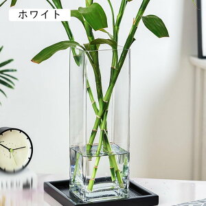 花びん ガラス 方形 花器 フラワーベース 一輪挿し ガラスボトル 一体型 モダン 水栽培 生け花 10x25cm リビング シンプル おしゃれ オシャレ クリア ホワイト 高さ30cm 花瓶 かびん