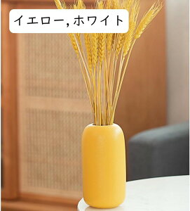 t[x[X 킢 CG[ ԕr     ֑} Ԋ _ VvfUC CeA  aԕr zCg Ԃт т x[X ԓ