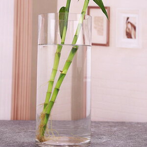 t[x[X ԕr Ԋ ֑}KXx[X hCt[  ͂Ȃ CeA  Vv a10cm  20cm L ϗtA kG C _ ͔| xb