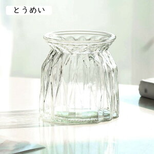 t[x[X ԕr k 8.5x10cm Ԋ CeA KX  т ԓ  ֑} ~jԊ t[ 킢 􉽊w ܂莆Ԃт Ƃ߂  j a