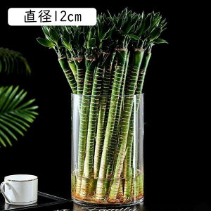 t[x[X ԕr Ԋ ֑} a15cm KXԕr k  ~ 傫  KX V_[  ͔| EHbV EFJ l炵 15cm a