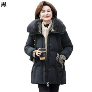 AE^[WPbg fB[X t@[t  vg AqH _E _ER[g  ~ g ۉ R[g p   gh  s E ʋ 