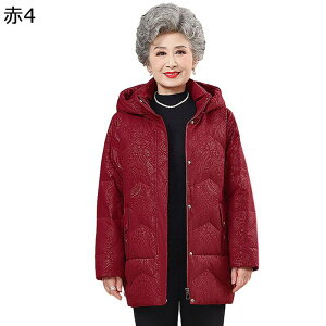 EB^[WPbg AqH t[ht vg _EWPbg fB[X  ۉ  _E _ER[g y _ ϐ   p ʊw  H ~