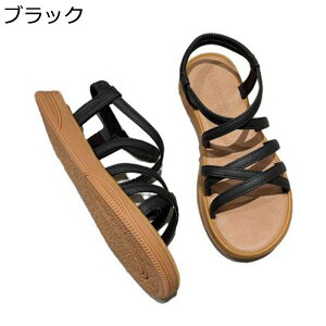 OfBG[^[T_ NXXgbv fB[X tbg T}[T_ ʋC ɂ [} y EH[LOV[Y \tg Xb| W[ s gx ʊw 