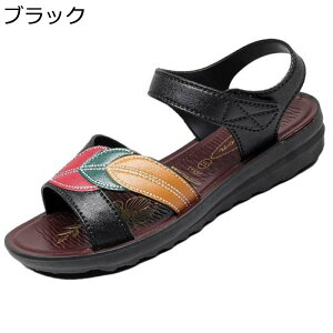  fB[X T_ t X|[cT_ EFbW xN r[`T_ }}C ėp EH[LOV[Y ^C h y h  Ȃ y IV l EH[L