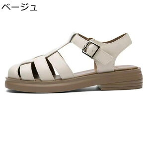 OfBG[^[T_ vC fB[X JT_ T}[ ʋC ɂ y EH[LOV[Y tbg ItBX obN _炩 GKg ʋ ʊw i s 