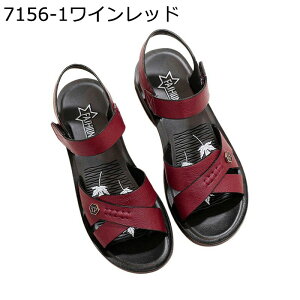  fB[X T_ X|[cT_ }}C xN ėp EH[LOV[Y ^C ϋv h ϖՐ  Ȃ y Vv EFbW 芴 AEghA JWA