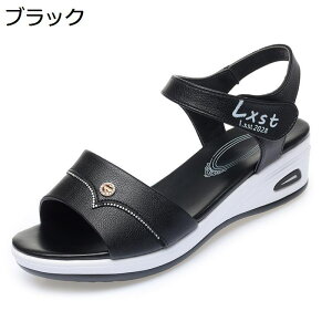 C fB[X T}[T_ X|[cT_ EFbW xN ČC X|[cV[Y JWA h NbV ʋC _炩 y GKg r EH[LO X|