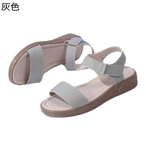 T}[T_ X|[cT_ xN ČC C fB[X EH[LOV[Y ^C ~ tbg Ռz ʋC _炩 y  芴 ItBX p[eB[ 