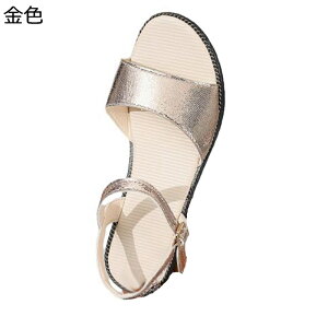 T}[T_ r[`T_ Xgbv tbg  r  fB[X ČC 傫TCY JWA ϋv h ϖ ₷ y  ؍ EH[LO X|[c