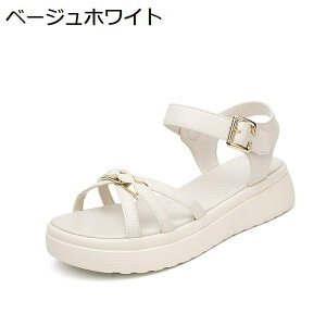 T_ C fB[X X|[cT_ 傫TCY Xgbv ҂ݍ ėp EH[LOV[Y ^C ϖ ɂ  ʋC L y gh l U O 