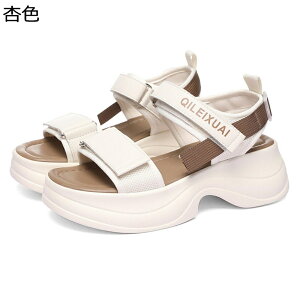 C fB[X T_ X|[cT_ gUP xN ^ ėp X|[cV[Y JWA h NbV ʋC _炩 y GKg r EH[LO X|[c 