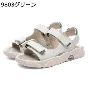 C fB[X T_ X|[cT_ gUP ėp tbg xN EH[LOV[Y ^C ~ Ռz ₷ y 킢 芴 ʊw AEghA JWA