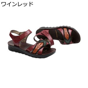 tbg T}[T_ fB[X X|[cT_ GXjbN ėp xN I[vgD X|[cV[Y JWA h y h ₷ y Vv EH[LO X|