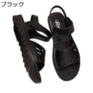 T}[T_ X|[cT_ RtH[gT_ }}C fB[X C ėp X|[cV[Y xN JWA ϋv h ϖՐ ʋC _炩 y Vv 