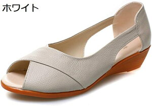 T_ fB[X L b ₷ EFbW\[  I[vgD Ȃ EGbW\[ 傫TCY  s 킢 [q[   T_ EFbW q[ EF