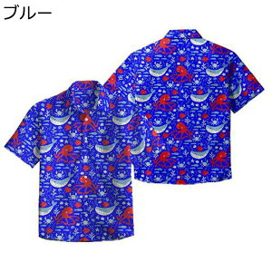 r[`Vc Y  NW  AnVc  ėp  nCA UVJbg JWA  HD  ʋC ܂݃Vc 傫TCY C s AEghA čՂ