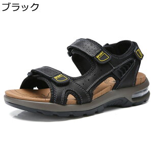 T_ Y X|[cT_ 傫TCY Xj[J[ NbV ėp ʋC  JWA xN h r[`T_ x_ o p O