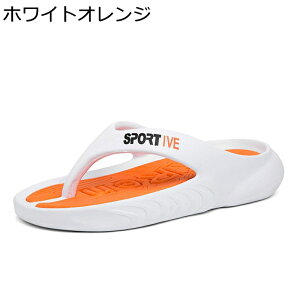 gOT_ Y @t T_ r[`T_ ėp EVA ؍  p  ₷ y O ʋC ~ JWA nC C v[