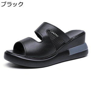 T_ EFbW\[ ~[T_ fB[X  f  I[vgD 傫TCY ɂ 芴  r[`T_  d RtH[g  }}