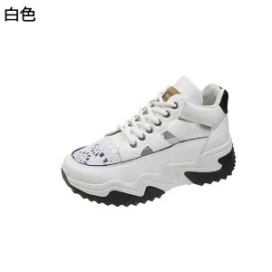 T_ Xj[J[ bVT_ fB[X X|[c  f  EhgD ^  傫 ~ ʋCz JWA `T_  d RtH[